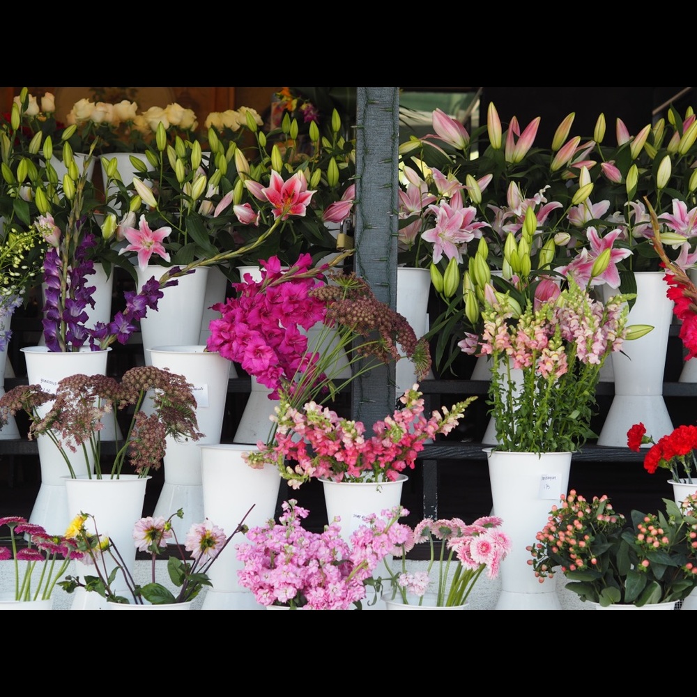 Meet your Posher, Bonnie